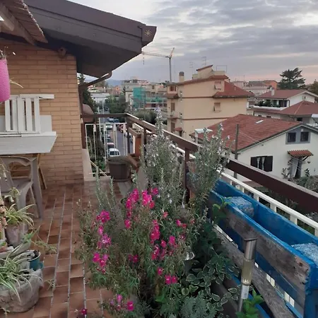 Ritorno A Casa *